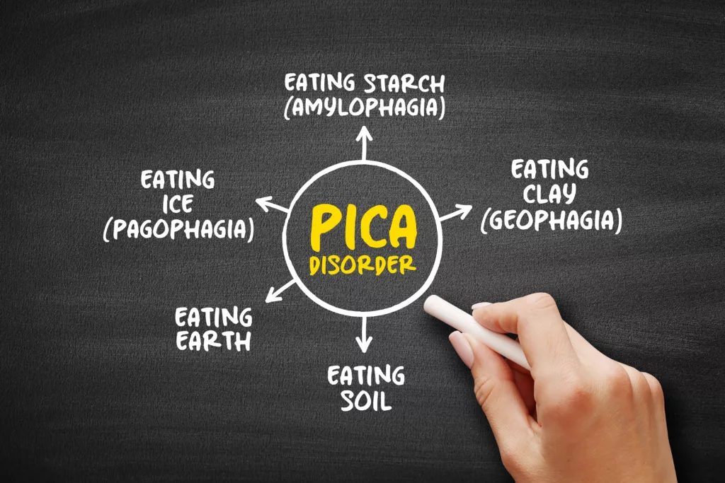 The image illustrates the unusual cravings in Pica disorder