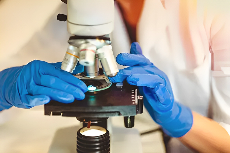 A pathologist checking breast biopsy sample