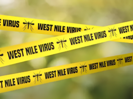 West Nile Virus