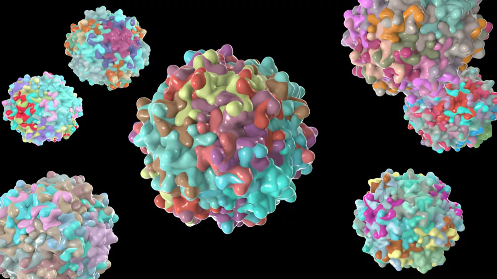 The inheritance pattern of Batten disease