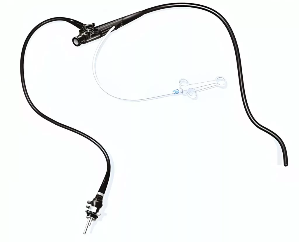 An endoscope