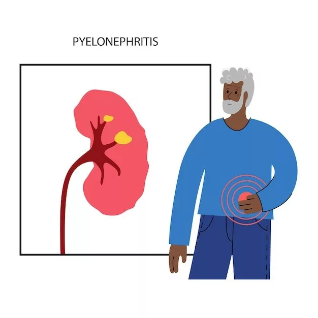 Most Common Symptom of Pyelonephritis (pain in side and abdomen)