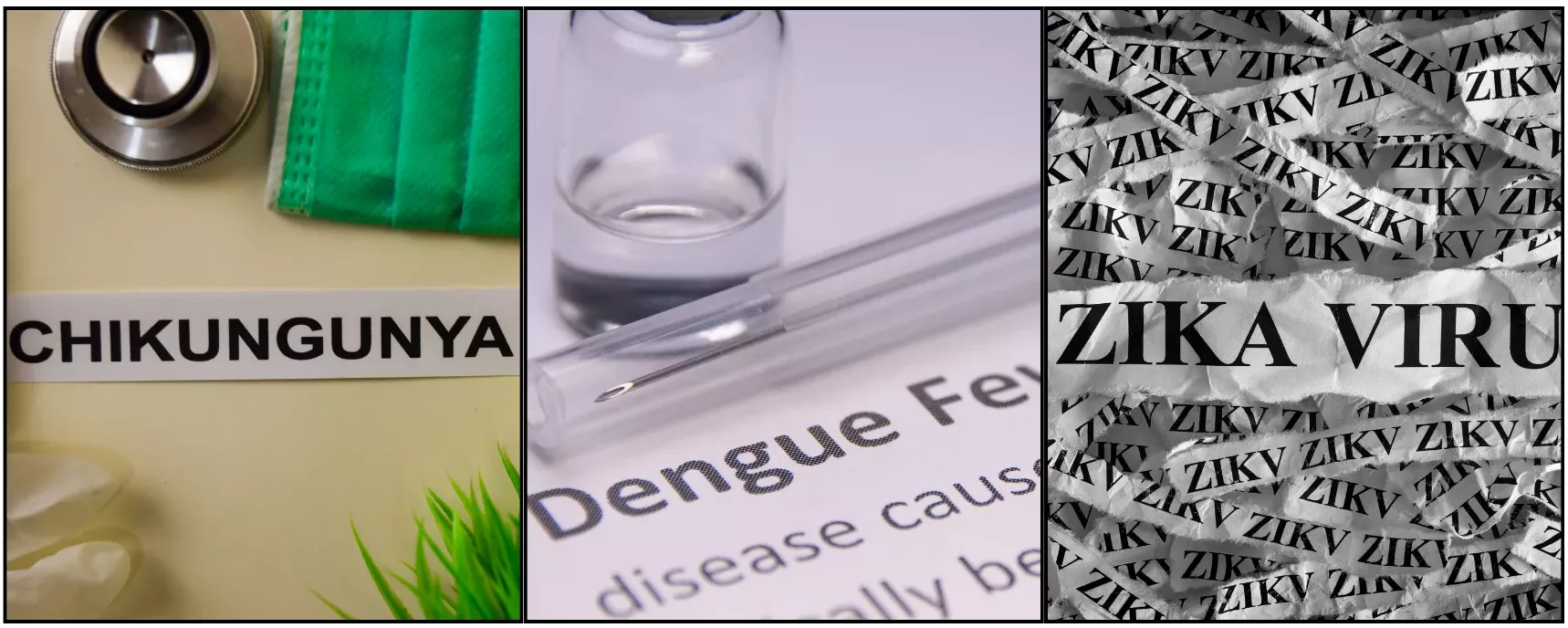 Chikungunya, Dengue Fever and Zika