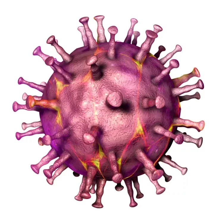 Illustration of African Swine Fever Virus