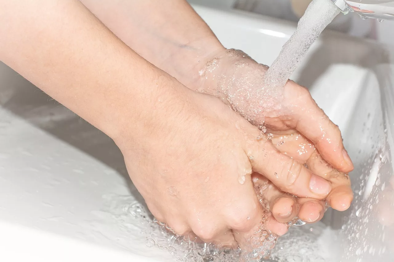 Cat scratch disease prevention with handwashing