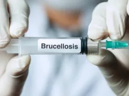 Brucellosis